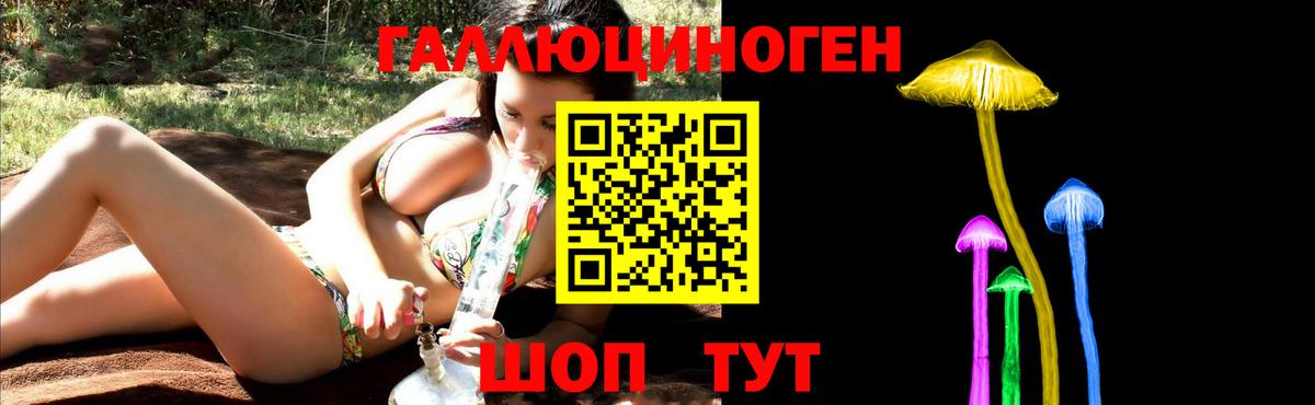 Можга  Псилоцибиновые грибы Cubensis  Вход с VPN  Псилоцибиновые грибы Psilocybine cubensis 